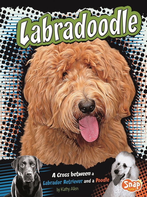 Title details for Labradoodle by Kathy Allen - Available